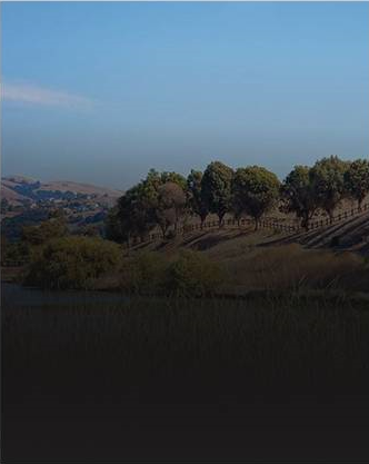 Milpitas