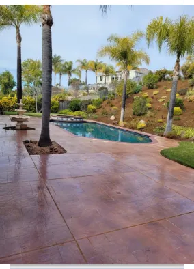 Backyard pool with palm trees and fountain
